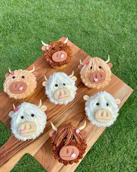 The Cows - Cute fluffy cow cupcakes 🐮 Highland Cow Cupcakes, Cute Fluffy Cow, Cow Cupcakes, Fluffy Cow, Cow Cookies, Cow Cakes, Cupcake Decorating Tips, Cupcake Wars, Fluffy Cows