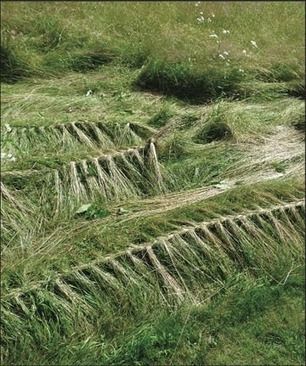 Pamela Callender: Grass Braiding Guerrilla Gardening, Ephemeral Art, Earth Art, Nature Garden, Art Workshop, Camping Art, Outdoor Art, Art Festival, Land Art