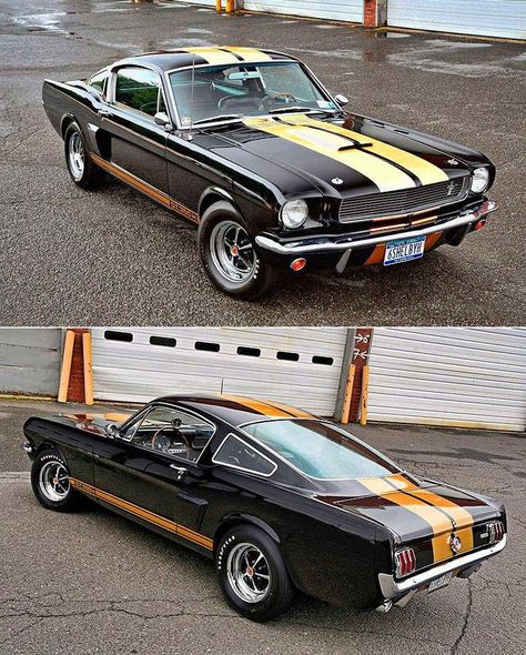 The pony car is so popular that Hertz and Ford worked together to produce 1,000 special Shelby GT350-Hs in 1966. Vintage Muscle Cars, Best Classic Cars, Shelby Gt500, Ford Mustang Shelby, Mustang Cars, Pony Car, Mustang Shelby, Ford Mustang Gt, American Muscle Cars