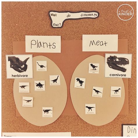 Answering inquiry questions in Kindergarten: What do dinosaurs eat? Sorting herbivores and carnivores during a whole group lesson! #dinosaur #dinosaurs #dinosaurinquiry #inquiry #inquiryinkindergarten #kindergarten #inquirylesson Dinosaurs Eyfs, Dinosaur Kindergarten, Dinosaurs Kindergarten, Dinosaur Unit Study, Dinosaur Lesson, Dinosaur Theme Preschool, Dinosaur Activities Preschool, Dinosaur Projects, Dinosaurs Preschool