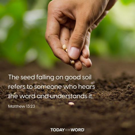 The seed falling on good soil refers to someone who hears the word and understands it.—Matthew 13:23. Today in the Word - a daily devotional Bible study🙏 #Christian #bibleverses #christianquotes #christianwallpaper God Scriptures, Matthew 13, App Story, Devotional Bible, Bible College, Bible Devotions, Types Of Soil, Daily Devotional, The Covenant