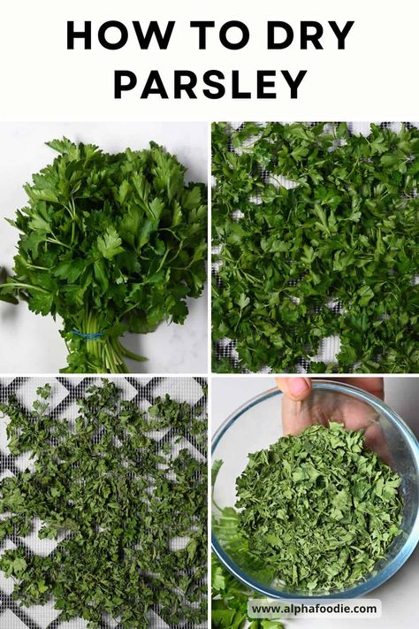 Oregano Benefits, Lavender Essential Oil Benefits, Preserve Herbs, Preserve Fresh Herbs, Drying Fresh Herbs, Citrus Cleaner, Growing Cilantro, Parsley Recipes, Outdoor Herb Garden