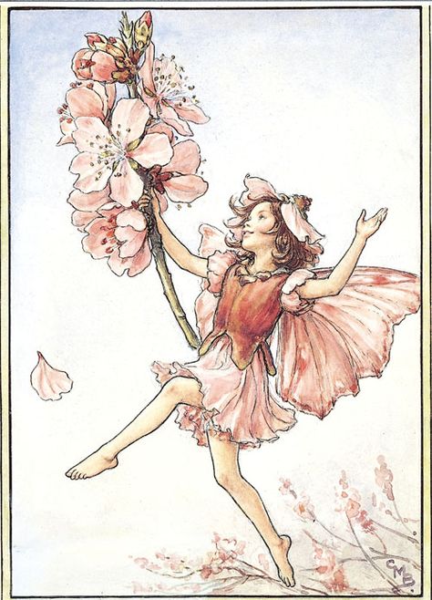 "Almond Blossom Fairy" by Cicely Mary Barker Cicely Mary Barker, Almond Blossom, A Drawing, A Flower, A Girl, Almond, Blossom, Flowers, Pink