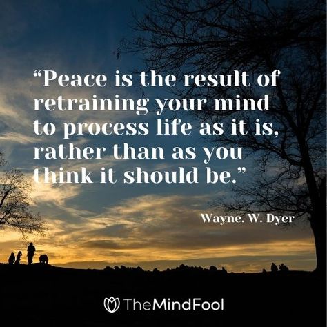 51 Peace of Mind Quotes | Quotes on Peace of Mind | Peaceful Mind Quotes Peaceful Mind Quotes, Quotes On Peace Of Mind, Quotes On Peace, Quotes About Peace, Peace Of Mind Quotes, Wayne Dyer Quotes, Letter To Daughter, Miracle Quotes, Hippie Quotes