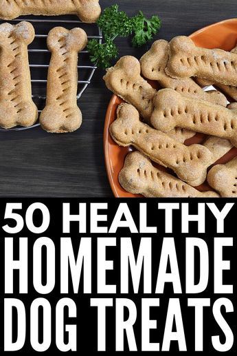 Healthy Peanut Butter Dog Treats, Dog Food Treats Homemade, Chicken Flavored Dog Treats, Soft Dog Biscuits Homemade, Soft Dog Biscuit Recipes, Dog Treat Recipes No Peanut Butter, No Grain Dog Treats Recipes, Peanut Butter Free Dog Treats, Peanut Free Dog Treats