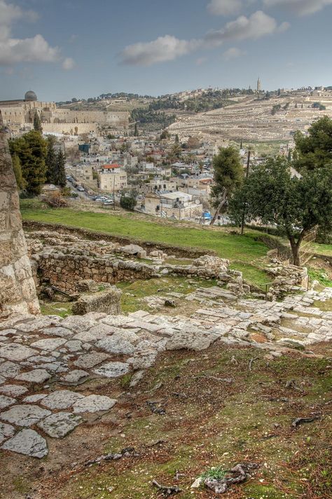 https://flic.kr/p/bjgGht | The Path from the Mount of Olives | Mount Sion Birthday Wishes For A Friend Messages, Terra Santa, Temple Mount, Mount Of Olives, Bible History, Countryside House, The 3 Kings, Aesthetic Japan, Holy Land