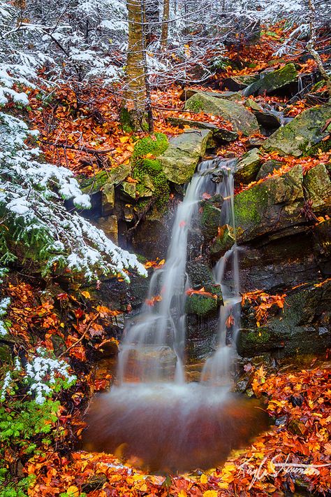 Okemo Mountain Image Nature, Air Terjun, Autumn Scenes, Autumn Scenery, Mountain Resort, Fall Pictures, Beautiful Waterfalls, Lombok, Pretty Places