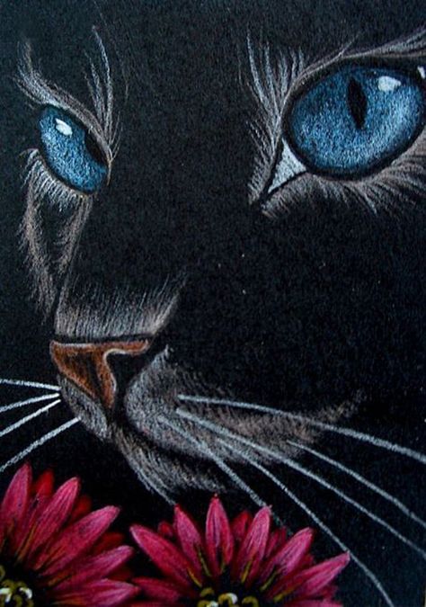 "Cat with Red Flowers" par Cyra R. Cancel Black Paper Drawing, Black Cat Art, Oil Pastel Art, Chalk Pastels, Art Painting Acrylic, Chalk Art, Pastel Art, Painting Art Projects, Cat Painting