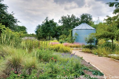 Messy Garden, Texas Plants, Texas Native Plants, Visit Austin, Lady Bird Johnson Wildflower Center, Sustainable Landscaping, Texas Gardening, Lady Bird Johnson, Rainwater Harvesting