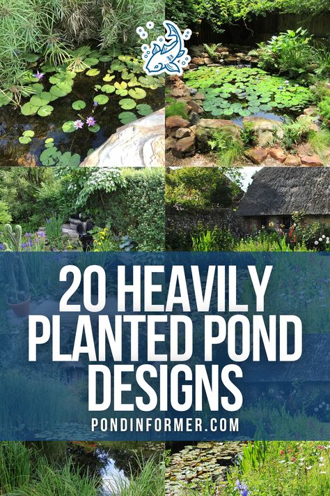 Dive into the beauty of heavily planted ponds with our curated list of 20 designs. Each pond showcases a lush assortment of plants, providing shelter and food for fish while enhancing the pond's natural appeal. Perfect for those looking to create a lush pond garden!  #PlantedPonds #PondDesign #PondPlants #WaterGarden #AquaticGarden #AquaticPlants #GardenInspiration #PondIdeas #OutdoorPond #PondGarden #BackyardPond #WaterPlants #GardenLandscaping #Pond #HeavilyPlantedPlant #PondInformer Fish Pond Plant Ideas, Pond Ecosystem, Pond Heater, Pond Netting, Pond Decorations, Pond Aerator, Pond Garden, Water Gardens Pond, Aquatic Garden