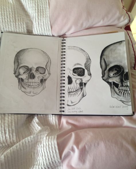 GCSE art - skull study Light And Dark Art Gcse Mind Map, Vanitas Gcse Art Sketchbook, Skulls Gcse Art, Gcse Art Sketchbook Skulls, Gcse Art Aged Theme, Observational Studies Gcse Art, Human Forms Gcse Art, Natural Forms Drawings Gcse Art, Skull Gcse Art Page