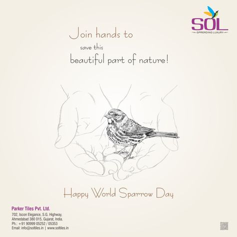 Join hands to save this beautiful part of nature! Happy World Sparrow Day! #SolTiles #Ceramic #Tiles #Wishes #WorldSparrowDay World Sparrow Day, International Days, Join Hands, International Day, School Board, Creative Ads, Ceramic Tiles, Birds, Quick Saves