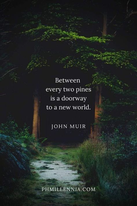 Take Me To The Woods Quotes, Magic Forest Quotes, Quotes About The Woods, Quotes About Forest, Beautiful World Quotes, In The Woods Quotes, New World Quotes, The Woods Quotes, John Muir Quotes Nature