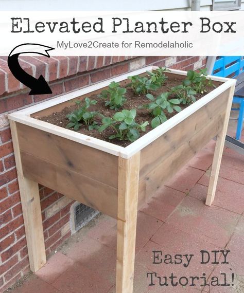 This DIY elevated planter box is raised up off the ground, so you can have your fresh foods AND save your back and knees this summer! Herb Garden Boxes, Raised Herb Garden, Yard Planters, Above Ground Garden, Elevated Planter, Planter Box Plans, Elevated Planter Box, Raised Garden Bed Plans, Elevated Gardening