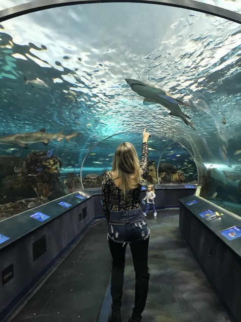 Ripley aquarium - Toronto - Follow us on Instagram: @NossaVidaEmOrlando Ripleys Aquarium Toronto, Toronto Aquarium, Toronto Trip, Toronto Pictures, Canada Pictures, Insta Aesthetic, Feeling 22, Toronto Travel, 20th Birthday