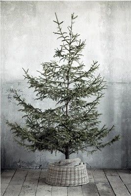 The New Victorian Ruralist: My Kind of Christmas... Nordic Christmas Scandinavian Style, Wabi Sabi Christmas, Nordic Christmas Tree, Christmas Scandinavian Style, Christmas Scandinavian, New Victorian, Simple Tree, Pre Lit Christmas Tree, Homemade Christmas Decorations