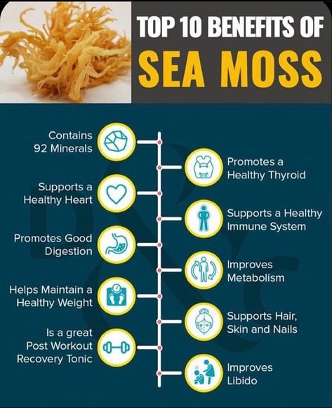 Our raw wild-crafted Golden Sea Moss is straight from the Caribbeans in pristine waters in St.Lucia to be exact. It contains 92 minerals out of the 102 minerals in which the body needs. Our Wild Crafted Sea Moss is 100% natural and doesn't contain any preservatives or additives. It is never pool grown like some other companies. We strive to bring you the best all natural product straight from the sea and dried naturally by the sun to preserve all of its nutrients. Our sea moss grows far away fro Benefits Of Sea Moss, Sea Moss Benefits, Seamoss Benefits, Improve Metabolism, Post Workout Recovery, Irish Sea, Beta Carotene, Sea Moss, Detox Smoothie