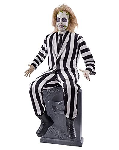 Set a spooky Halloween scene with these fun Beetlejuice-themed decorations! Beetlejuice Halloween Decorations, Halloween Themes Decorations, Throwing A Party, Beetlejuice Halloween, Themed Decorations, Halloween Scene, Throw A Party, Trick Or Treater, The Neighborhood