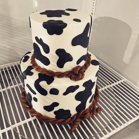 Cow Cake Ideas For Adults, Cow Themed Gender Reveal Cake, Cow Print Wedding Cake, Cowboy Or Cowgirl Gender Reveal Cake, Western Gender Reveal Cake, Western Theme Cake Cowgirl, Cowboy Theme Baby Shower Cake, Cow Cake Buttercream, Cow Party Cake