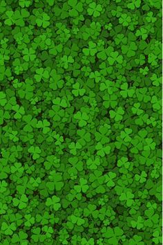 Shamrock Wallpaper, Irish Wallpaper, Cc Background, Hd Phone Backgrounds, Fun Wallpapers, St Patricks Day Wallpaper, Motifs Design, Barbies Pics, Iphone 5 Wallpaper