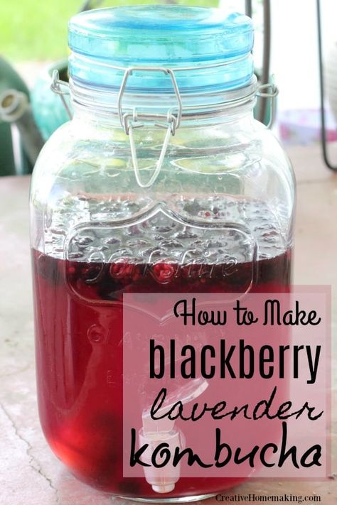 Lavender Kombucha, Kombucha Flavors Recipes, Ginger Kombucha, Best Kombucha, Beginners Recipes, Blackberry Lavender, Diy Kombucha, Slow Summer, Kombucha Flavors