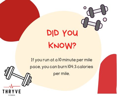 Fitness Fact Fitness Tips Facts, Did You Know Health Facts, Gym Myths And Facts, Did You Know Fitness Facts, Did You Know Facts About Health, Fitness Facts, Kids Gym, Fitness Fun, Fun Fact