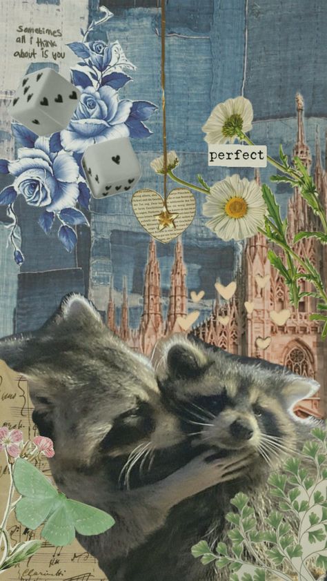 raccoons in love Raccoons In Love, Raccoon Wallpaper, Racoon, Wallpaper Iphone, In Love, Iphone