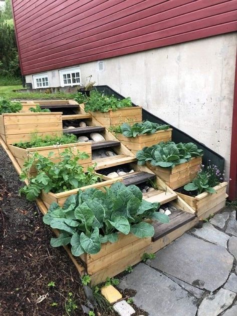 Raised Garden Beds Diy Vegetables, Raised Bed Gardening, Sloped Backyard Landscaping, Hillside Garden, Sloped Backyard, Landscaping Retaining Walls, Tiered Garden, Sloped Garden, Garden Steps