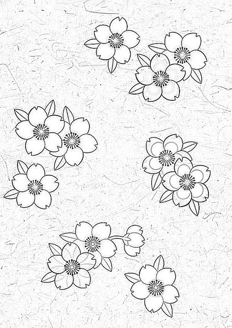 Japanese Traditional Tattoo Stencil, Japanese Traditional Tattoo Flowers, Japan Flowers Tattoo, How To Draw Sakura, Sakura Japanese Tattoo, Japanese Flower Tattoo Stencil, Cherry Blossom Petals Tattoo, Sakura Flower Tattoo Design, Japanese Character Tattoo