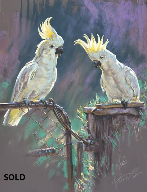 Cockatoo Drawing, Cockatoo Painting, Cockatoo Art, Cockatoo Bird, Parrots Art, Australian Wildlife, Abstract Art Wallpaper, Art Painting Gallery, Horse Drawings