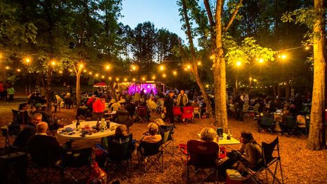 Matilda’s brings intimate, outdoor concerts to Milton Outdoor Concert Decorations, Parking Lot Party, House Concert, Future Concert, Jazz Concert, Outdoor Music, Indian Music, Concert Venue, Architecture Ideas