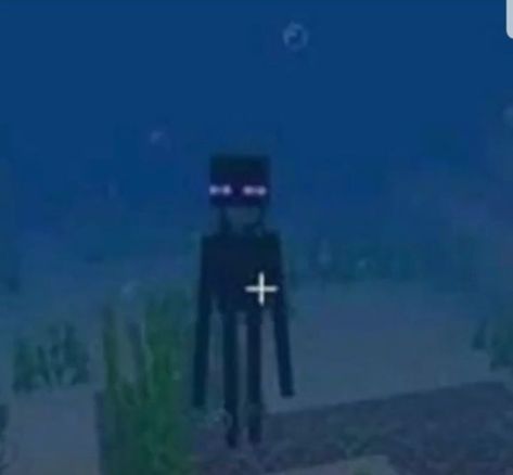 Cute Minecraft Pfp, Enderman Pfp, Minecraft Pfp, Minecraft Images, Minecraft Pictures, Minecraft Mobs, 밈 유머, Minecraft Wallpaper, Minecraft Funny