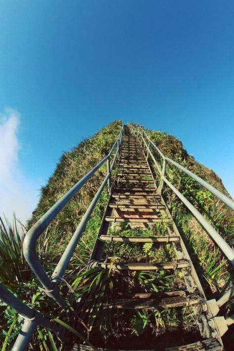 Stairway to heaven o mother nature moments Haiku Stairs, Hawaii Living, Going Places, Stairway To Heaven, Hawaii Vacation, Oahu Hawaii, To Heaven, Travel Tours, Hawaii Travel