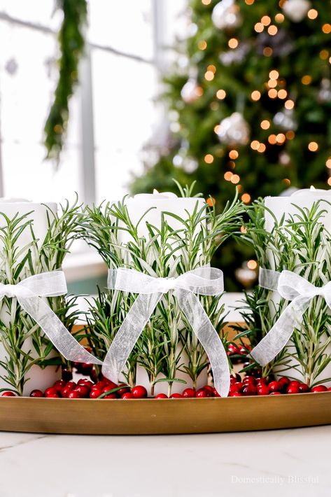 DIY Rosemary Candle Centerpiece Rosemary Candle, Rosemary Candles, Candle Hack, Christmas Colour Schemes, Candle Centerpiece, Festive Centerpieces, Christmas Decorations Cheap, Navidad Diy, Fresh Cranberries