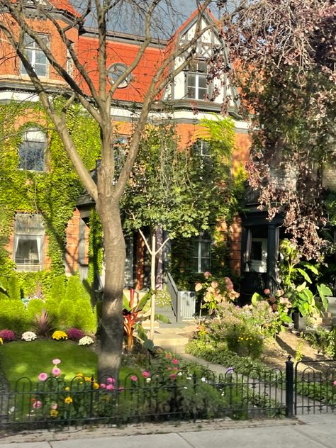 Ottawa housing decor cottagecore green outdoors adventure Ottawa Aesthetic, Houses Aesthetic, Cottagecore Green, Ottawa Canada, Green Decor, Cottage Core, Ottawa, Garden Arch, Tree Trunk