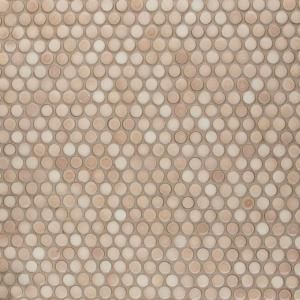 Split Entry, Condo Decor, Penny Round Mosaic, Entry Ideas, Eye Drop, Penny Round Tiles, Round Mosaic, Penny Tile, Round Tiles