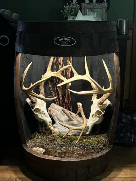 Deer Skull Painting, European Deer Mount Ideas, European Deer Mount, Deer Mount Ideas, European Mount, Deer Mounts, Deer Skull, Skull Painting, Antlers