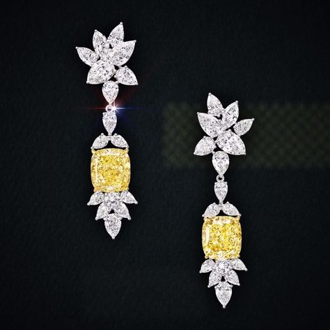 graff’s expertise in coloured diamonds comes to life in these spectacular earrings, with brilliant white diamonds offsetting… High Jewelry Design, Coloured Diamonds, Yellow Diamond Earring, Diamond Chandelier Earrings, Diamond Chandelier, Harry Winston, Diamond Jewelry Designs, Diamond Jewellery, Yellow Diamond