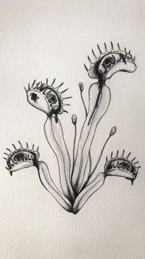 Horror Flower Drawing, Weird Nature Tattoos, Eye Plant Drawing, Creepy Garden Tattoo, Scary Flower Tattoo, Creepy Nature Tattoo, Scientific Illustration Tattoo, Dark Nature Tattoo, Strange Drawings