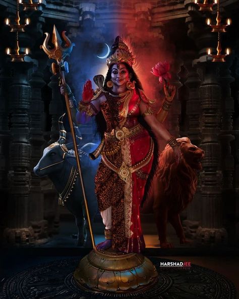 Shakti Maa, Goddess Images, Maa Durga Image, Durga Ji, Kali Ma, Aadi Shakti, Shiva Family, Devotional Reading, Mata Rani