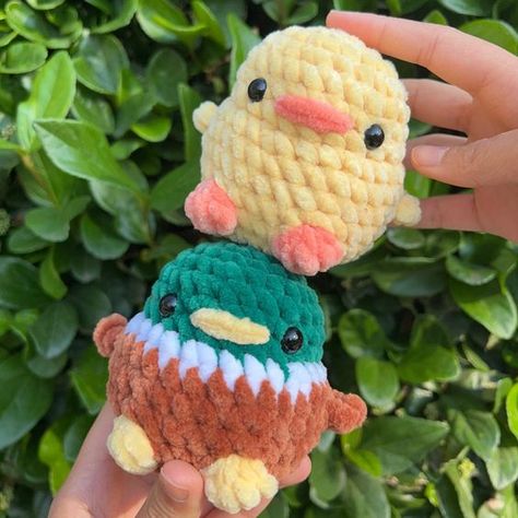 Ducks Crochet, Crochet Chicks, Toys Quotes, Desk Friend, Crochet Toys Free Patterns, The Chicks, Crochet Toys Free, Easy Crochet Animals, Crochet Cushion Cover