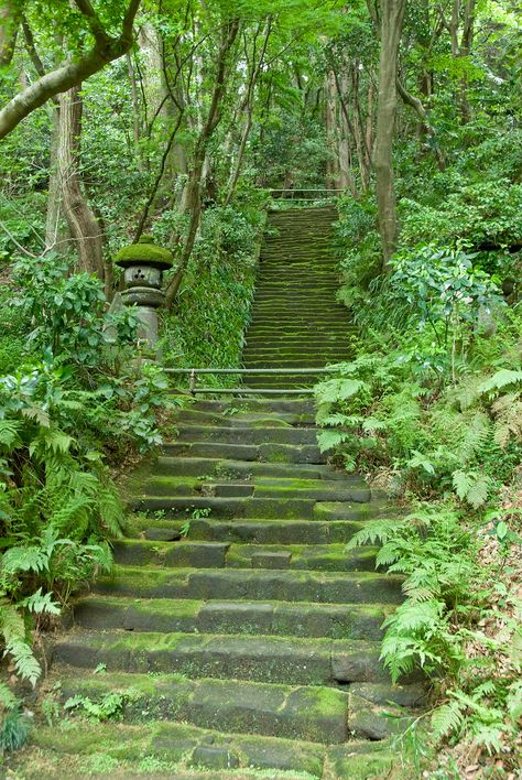 Saiho-ji, the Moss temple in Kyoto | Myōhō–ji - Religion-wiki Moss Temple, Hidden Staircase, Winter In Japan, Kanagawa Japan, Zen Moments, Enchanted Wood, Moss Garden, Garden Images, Kyoto Japan