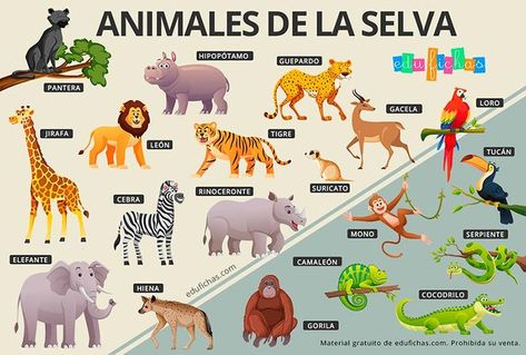 Nuevo PDF con actividades de animales de la selva. Descarga gratis en edufichas.com Montessori Printables, January Crafts, Future Classroom, How To Speak Spanish, Sea Life, Free Images, I Hope, Education, Feelings