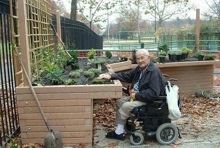 Accessible garden... Love this idea! Accessible Gardening, Accessible Garden, Sensory Gardens, Horticulture Therapy, Healing Garden, Sensory Garden, Wheelchair Friendly, Wheel Chair, Areas Verdes