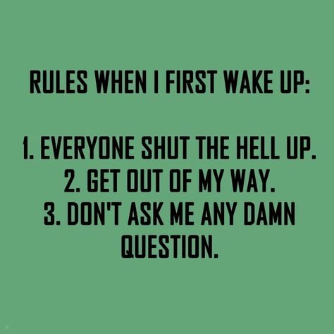 Morning person humor Not A Morning Person Humor Hilarious, Not Morning Person Funny, Not A Morning Person Humor, Morning Person Humor, Cocky Quotes, Safe Quotes, Not A Morning Person, Funny Af, Woke Up This Morning