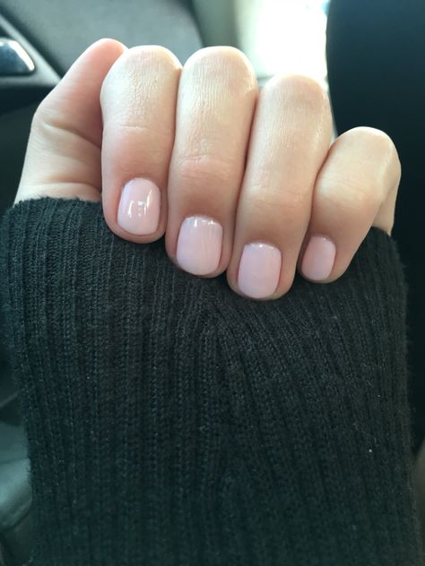 Light Pink Nails, Pink Nails, Light Pink, Nail Polish, Nails, Pink