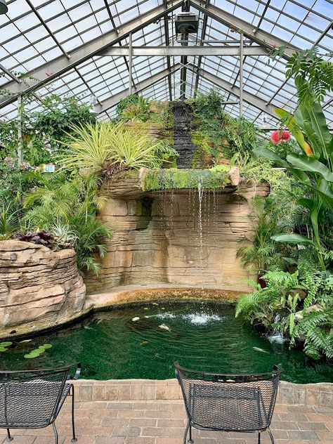 Amy's Creative Pursuits: Garfield Park Conservatory - Indianapolis Over Fifty Fashion, Arts And Crafts Interior Design, Garfield Park Conservatory, Sunken Garden, Pitcher Plant, Pink Plant, Colorful Plants, Flowering Shrubs, Architectural Designs