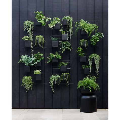 Plant stands outdoor