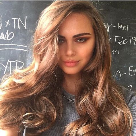 Her hair is everything#beauty Xenia Deli, Alena Shishkova, Elegant Ponytail, Haircut Inspiration, Flat Hair, Hair Images, Trending Haircuts, Long Layered Hair, Hair Pictures