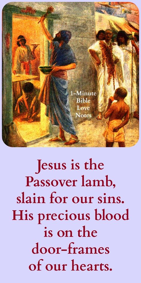 Passover Celebration, Passover Lamb, Bible Love Notes, Feasts Of The Lord, Praise Jesus, Bible Love, Jesus Is Lord, Torah, Lord Jesus Christ